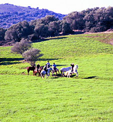 Spain-Southern Spain-Atlantic Coast Ride - Southern Andalusia